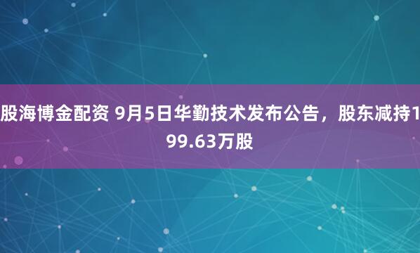 股海博金配资 9月5日华勤技术发布公告，股东减持199.63万股