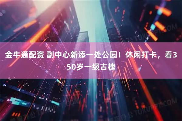 金牛通配资 副中心新添一处公园！休闲打卡，看350岁一级古槐