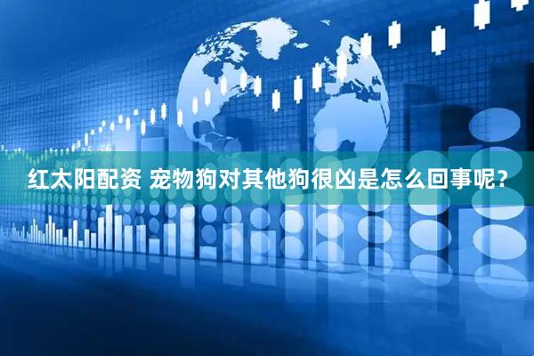 红太阳配资 宠物狗对其他狗很凶是怎么回事呢？