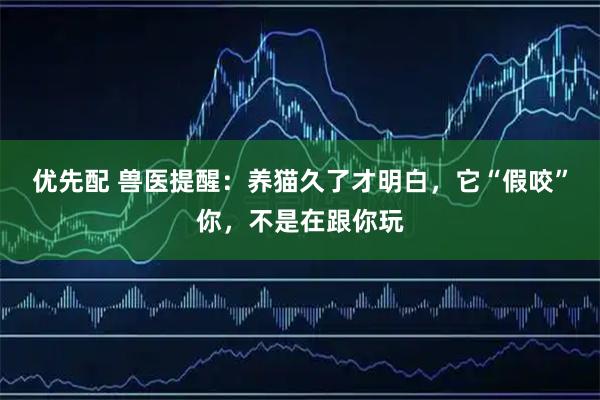 优先配 兽医提醒：养猫久了才明白，它“假咬”你，不是在跟你玩