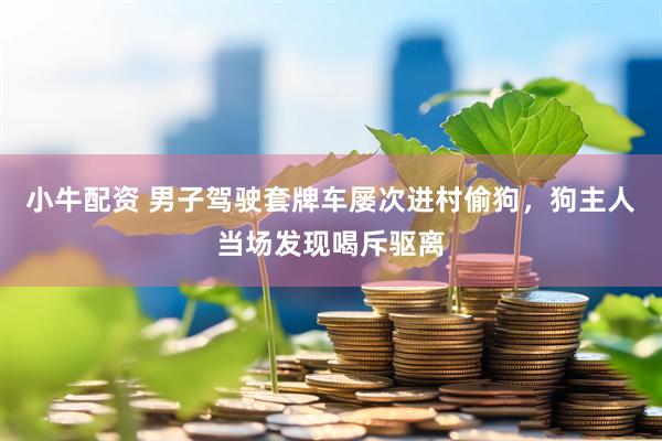 小牛配资 男子驾驶套牌车屡次进村偷狗，狗主人当场发现喝斥驱离