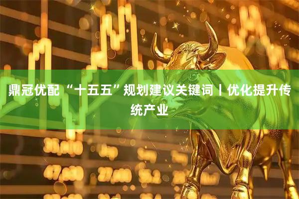 鼎冠优配 “十五五”规划建议关键词丨优化提升传统产业
