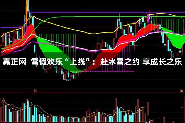 嘉正网  雪假欢乐“上线”：赴冰雪之约 享成长之乐