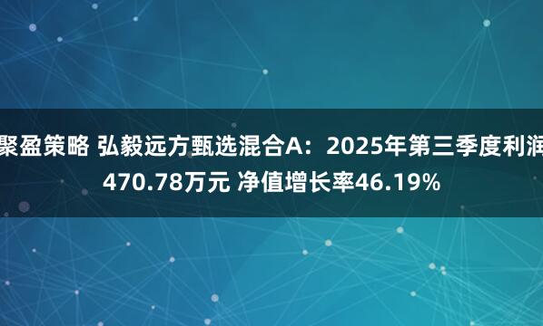 聚盈策略 弘毅远方甄选混合A：2025年第三季度利润470.78万元 净值增长率46.19%